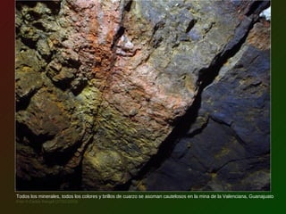 Todos los minerales, todos los colores y brillos de cuarzo se asoman cautelosos en la mina de la Valenciana, Guanajuato
Foto © Carlos Rangel (27/01/2010)
 