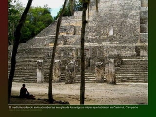 El meditativo silencio invita absorber las energías de los antiguos mayas que habitaron en Calakmul, Campeche
Foto © Juan Villarreal (26/08/2009)
 