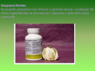 Desparacitantes
Se puede preparar con tintura o plantas secas, cualquier de
estos ingredientes se envasa en cápsulas y esta listo para
consumir.
 