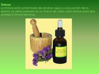 Tinturas
La tintura está conformada de alcohol, agua y una porción de la
planta, se debe preparar en un frasco de vidrio color ámbar para que
proteja la tintura de la luz.
 