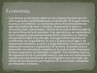 Los aztecas se asentaron sobre un rico espacio lacustre que les
  ofrecía grandes pasibilidades para el desarrollo de la agricultura,
  la pesca y el comercio. La economía azteca fue principalmente
  agrícola (cultivo de maíz y frijoles), destacando la técnica
  conocida como «chinampas», dentro de la cual se diferenciaba la
  de tierra firme de la de pantano. Con esta técnica, se explotaba el
  suelo cenagoso permanentemente fértil y húmedo y se obtenía
  una productividad muy elevada. Esta agricultura intensiva se
  combinaba con la ganadería, la caza y la pesca en el lago, y un
  importante comercio, a corta y a larga distancia. Con respecto al
  sistema de tenencia y explotación de la tierra, el pueblo azteca
  desarrolló una estructura compleja en la cual se podía distinguir
  la tierra asignada a los llamados «calpulli» (las unidades básicas
  de organización de la sociedad azteca), que a su vez realizaban el
  reparto entre las familias de no privilegiados; por otro lado, las
  tierras de los elementos privilegiados de la sociedad, trabajadas
  por braceros y esclavos.
 