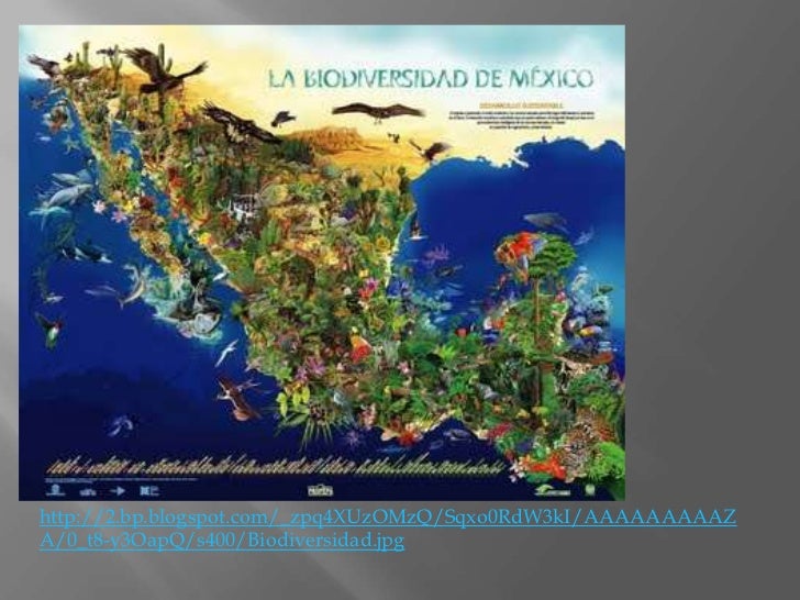 México un país megadiverso