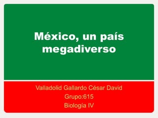 México, un país
 megadiverso


Valladolid Gallardo César David
           Grupo:615
           Biología IV
 