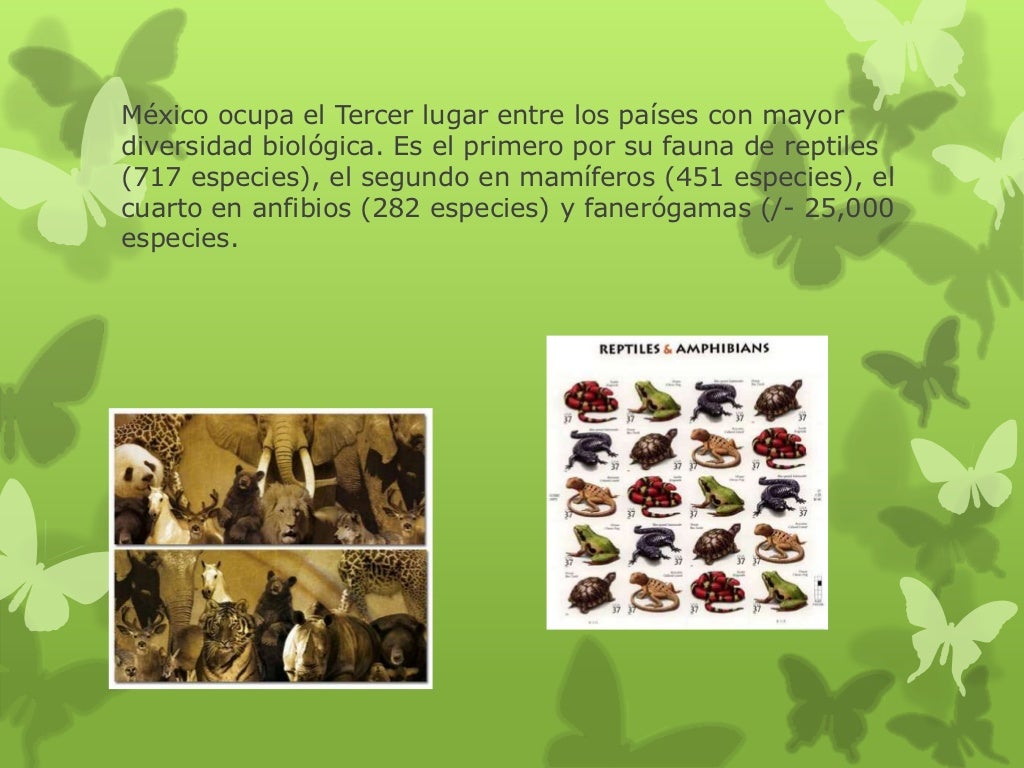 Países megadiversos