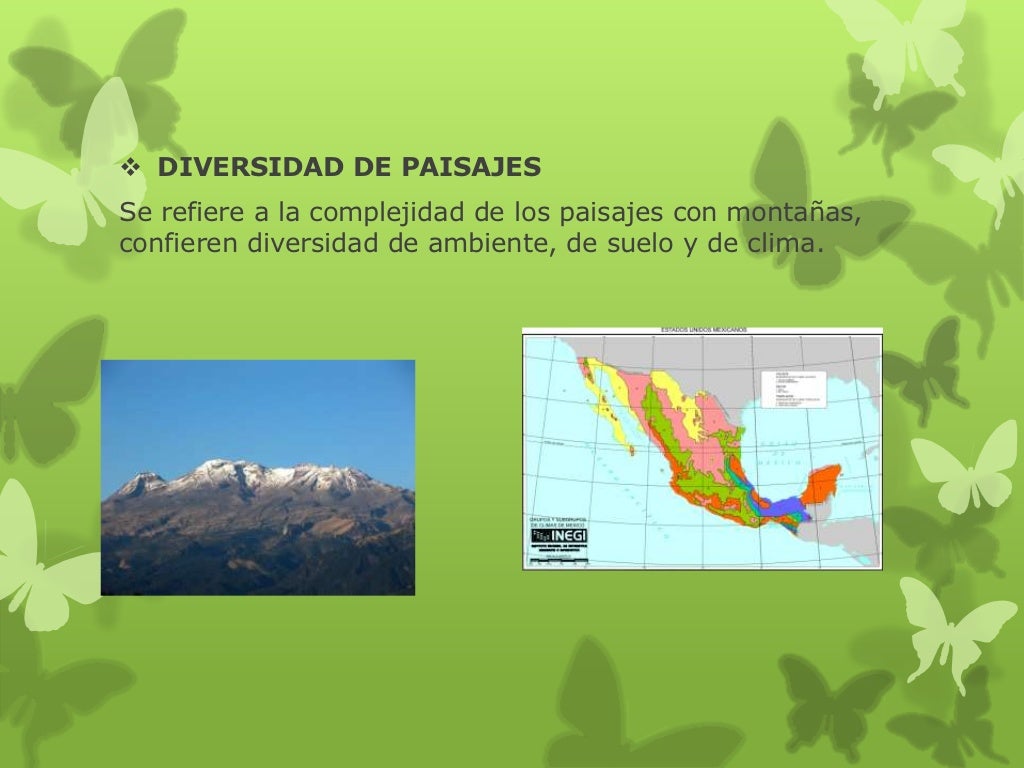 Países megadiversos