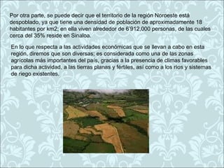 Por otra parte, se puede decir que el territorio de la región Noroeste está
despoblado, ya que tiene una densidad de población de aproximadamente 18
habitantes por km2; en ella viven alrededor de 6’912,000 personas, de las cuales
cerca del 35% reside en Sinaloa.

En lo que respecta a las actividades económicas que se llevan a cabo en esta
región, diremos que son diversas; es considerada como una de las zonas
agrícolas más importantes del país, gracias a la presencia de climas favorables
para dicha actividad, a las tierras planas y fértiles, así como a los ríos y sistemas
de riego existentes.
 