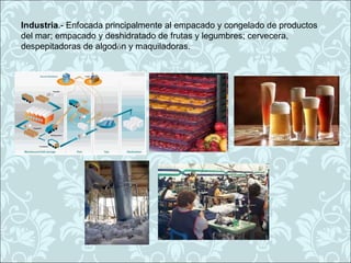 Industria.- Enfocada principalmente al empacado y congelado de productos
del mar; empacado y deshidratado de frutas y legumbres; cervecera,
despepitadoras de algodón y maquiladoras.
 