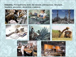 Industria. Principalmente textil, del calzado, petroquímica, del papel,
tequilera, azucarera, alimenticia y peletera.
 