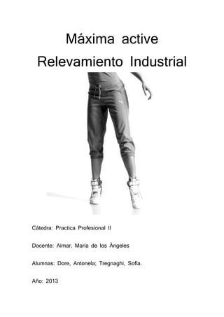 Máxima active
Relevamiento Industrial

Cátedra: Practica Profesional II
Docente: Aimar, María de los Ángeles
Alumnas: Dore, Antonela; Tregnaghi, Sofía.
Año: 2013

 