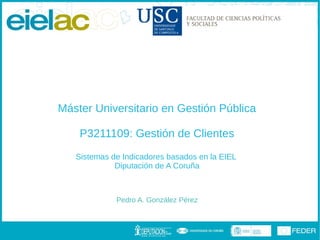 Máster Universitario en Gestión Pública

    P3211109: Gestión de Clientes
   Sistemas de Indicadores basados en la EIEL
             Diputación de A Coruña



             Pedro A. González Pérez
 