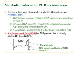 Metabolic Pathway for PHB accumulation   Consists of three major steps which is involved in 3 types of enzymes  (Verlinden, 2007):  1.  3-ketothiolase - produces acetoacetyl-CoA by joining two molecules of acetyl-CoA  2.  Acetoacetyl-CoA reductase - promotes the reduction of acetoacetyl-CoA by NADH to 3-hydroxybutyryl-CoA.  3.  PHA synthase  -  polymerizes   the   3-hydroxybutyryl-CoA to form PHB.  Acetyl-coenzyme-A (acetyl-CoA)  is a PHB precursor that is naturally produced by these bacteria. R-chain side PHB - consist - combination of 20,000 monomers 