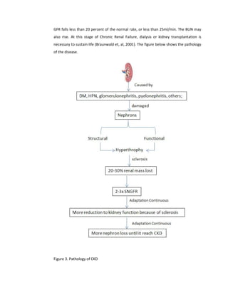 GFR falls less than 20 percent of the normal rate, or less than 25ml/min. The BUN may
also rise. At this stage of Chronic Renal Failure, dialysis or kidney transplantation is
necessary to sustain life (Braunwald et, al, 2001). The figure below shows the pathology
of the disease.
Figure 3. Pathology of CKD
 