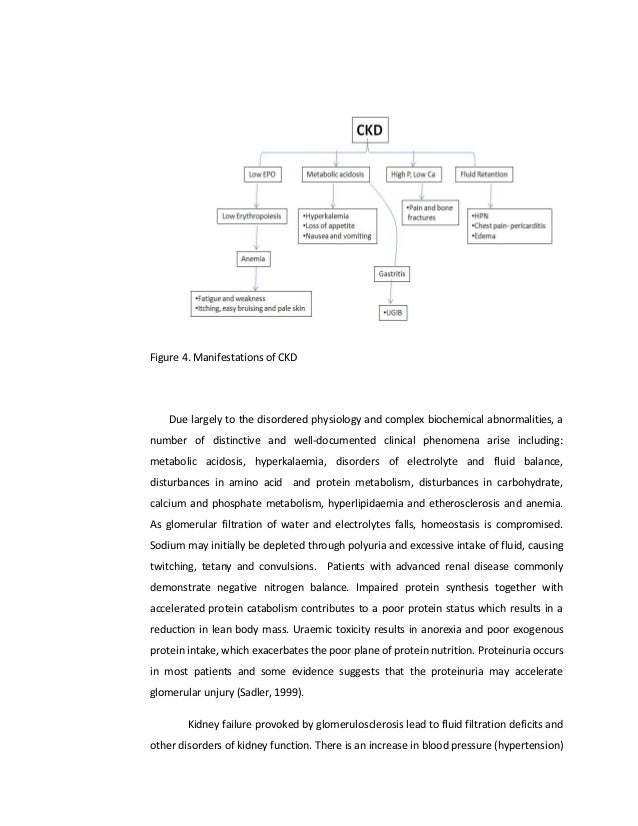 Kidney Failure Essay