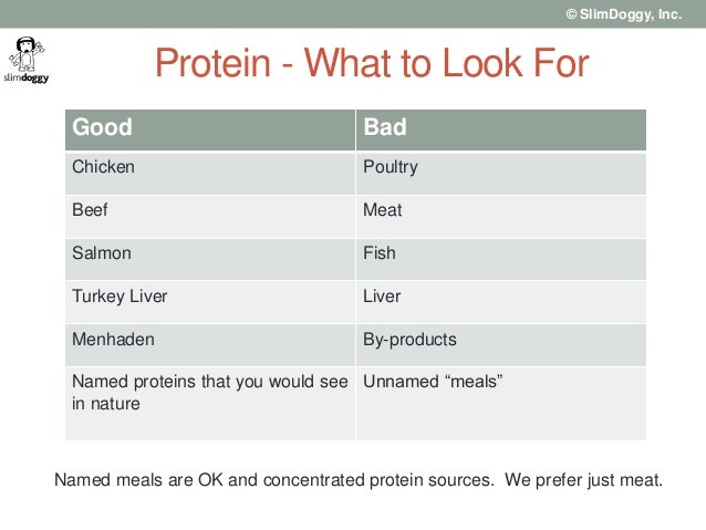 Good Dog Food With Protein Good Dog Food With Protein