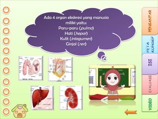 Ada 4 organ ekskresi yang manusia
miliki yaitu:
Paru-paru (pulmo)
Hati (hepar)
Kulit (integumen)
Ginjal (ren)

 
