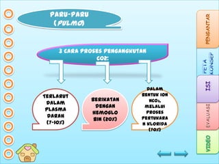 PARU-PARU
(pulmo)

3 Cara proses pengangkutan
CO2:

Terlarut
dalam
plasma
darah
(7-10%)

Berikatan
dengan
hemoglo
bin (20%)

Dalam
bentuk ion
HCO3,
melalui
proses
pertukara
n klorida
(70%)

 