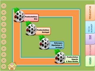 Pembentukkan
Urin

Pembentukkan
Keringat

Hubungan
Hipotalmus &
keringat

Pembentukan
Empedu
& Daur Ornitin

 