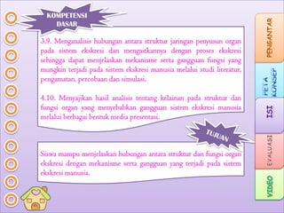 KOMPETENSI
DASAR

3.9. Menganalisis hubungan antara struktur jaringan penyusun organ
pada sistem ekskresi dan mengaitkannya dengan proses ekskresi
sehingga dapat menjelaskan mekanisme serta gangguan fungsi yang
mungkin terjadi pada sistem ekskresi manusia melalui studi literatur,
pengamatan, percobaan dan simulasi.
4.10. Menyajikan hasil analisis tentang kelainan pada struktur dan
fungsi organ yang menyebabkan gangguan sistem ekskresi manusia
melalui berbagai bentuk media presentasi.

Siswa mampu menjelaskan hubungan antara struktur dan fungsi organ
ekskresi dengan mekanisme serta gangguan yang terjadi pada sistem
ekskresi manusia.

 