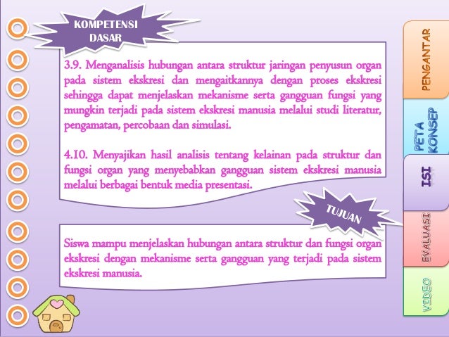 My Ppt Sistem Ekskresi Show