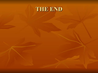 THE END 