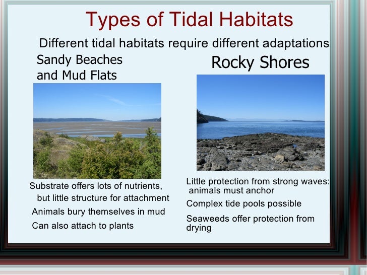 Who made homework image