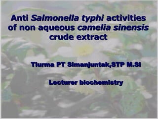 Anti  Salmonella typhi  activities of non aqueous  camelia sinensis  crude extract Tiurma PT Simanjuntak,STP M.Si Lecturer biochemistry 