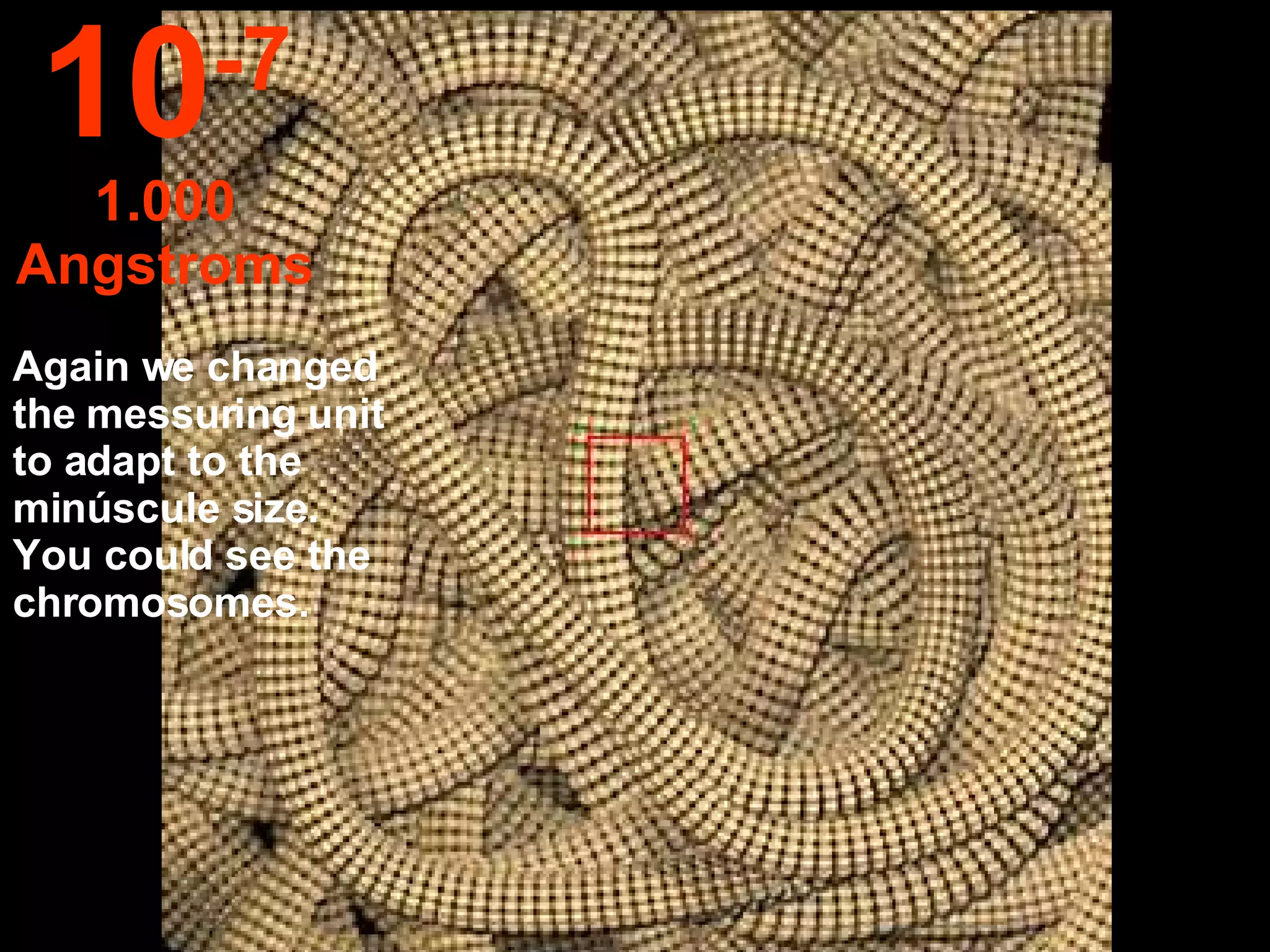 Again we changed the messuring unit to adapt to the minúscule size.  You could see the chromosomes. 10 -7 1.000 Angstroms 