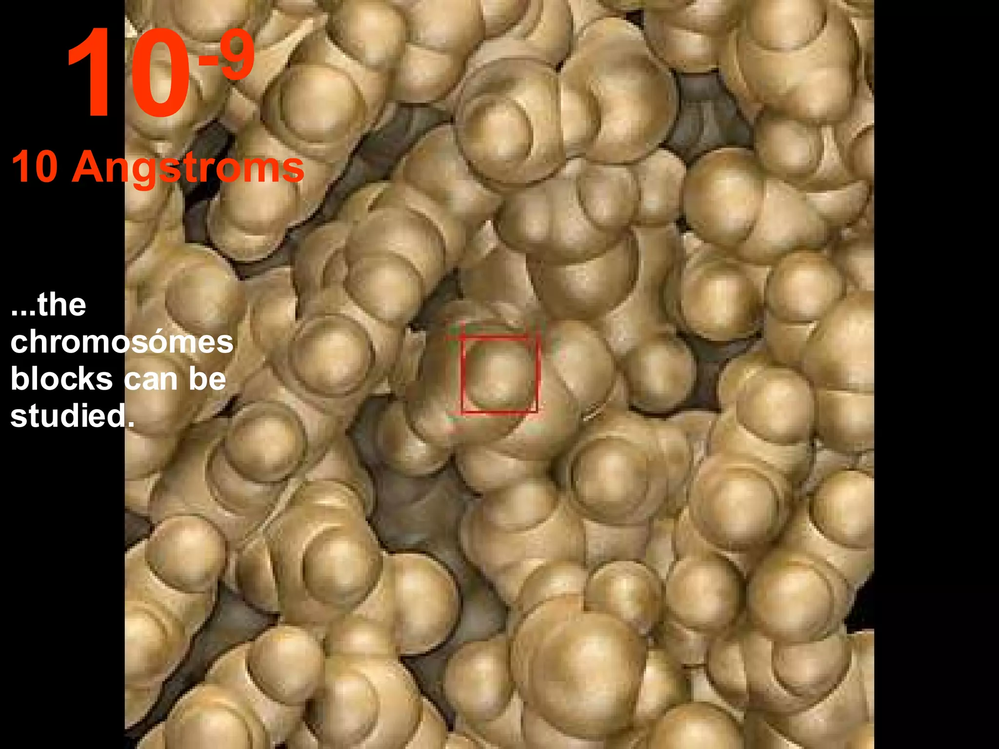 ...the chromosómes blocks can be studied. 10 -9 10 Angstroms 