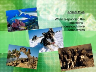 Animal trivia When responding the questions I understood more some words 