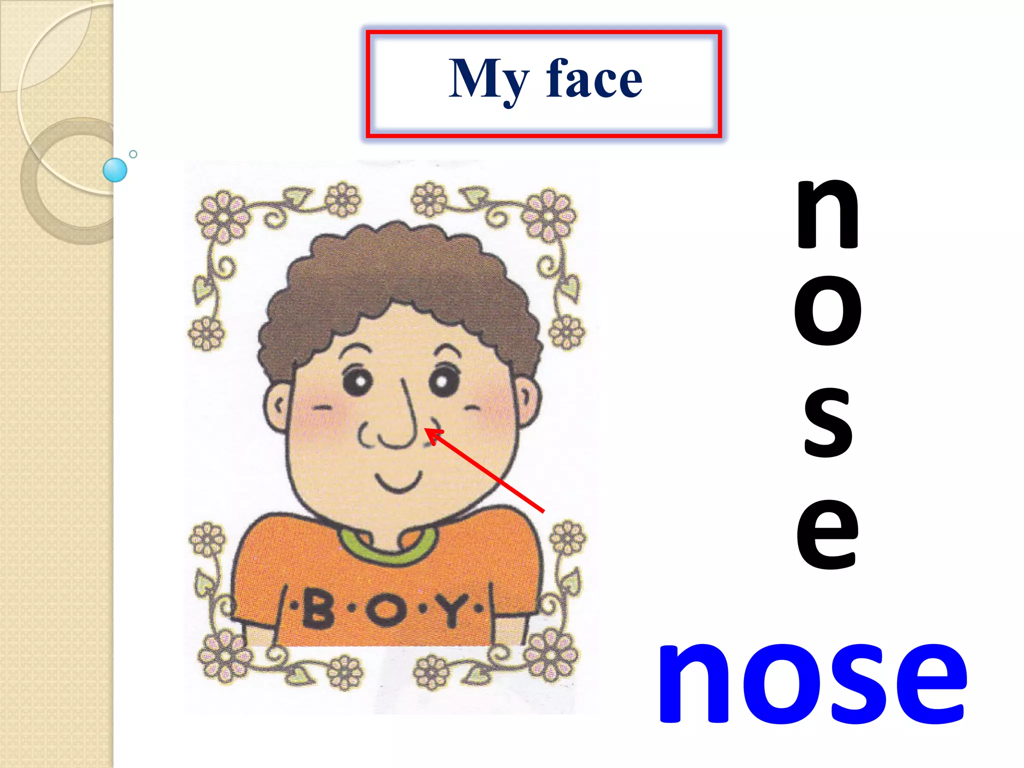 My face
nose
n
o
s
e