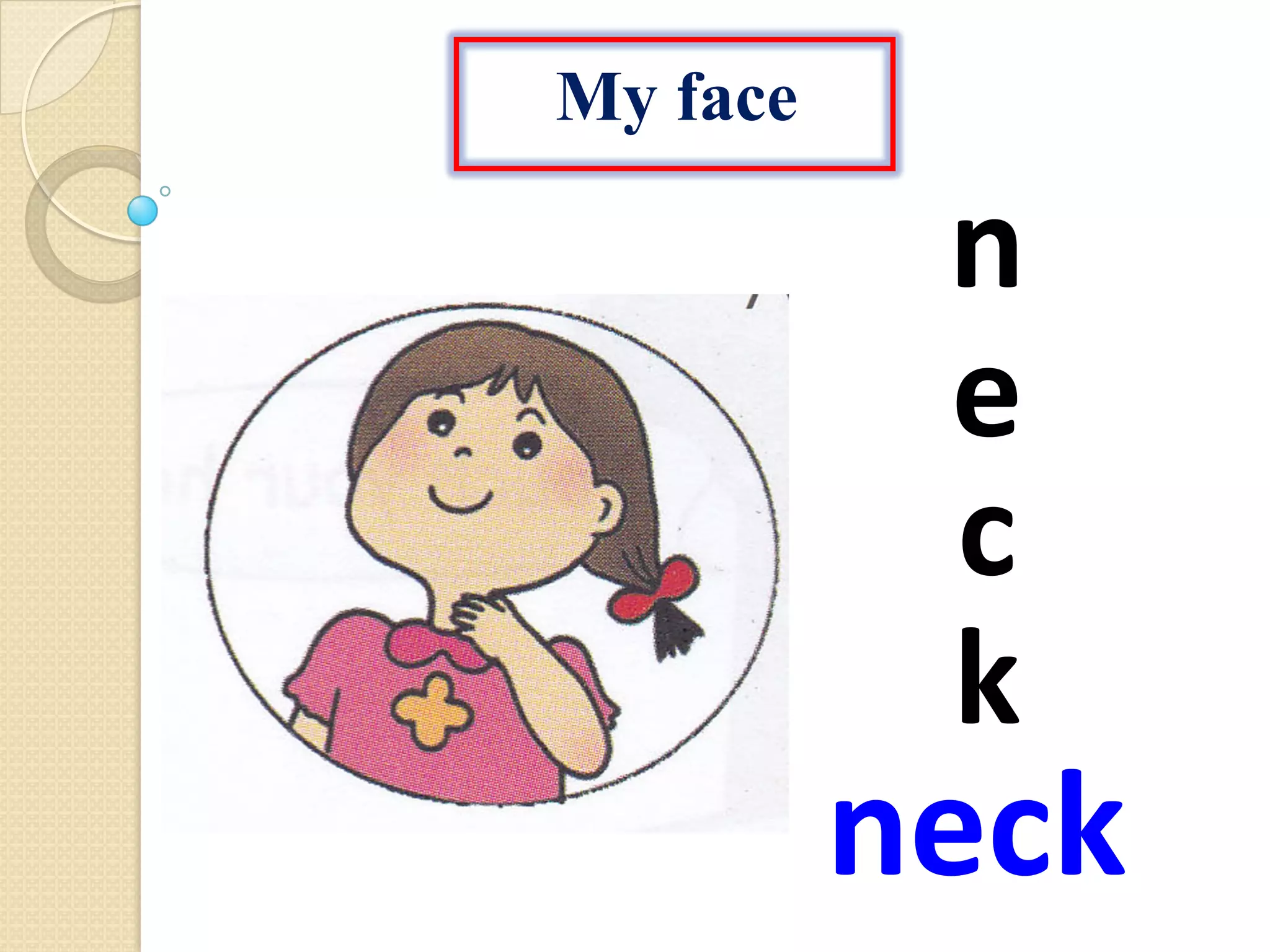 My face
neck
n
e
c
k