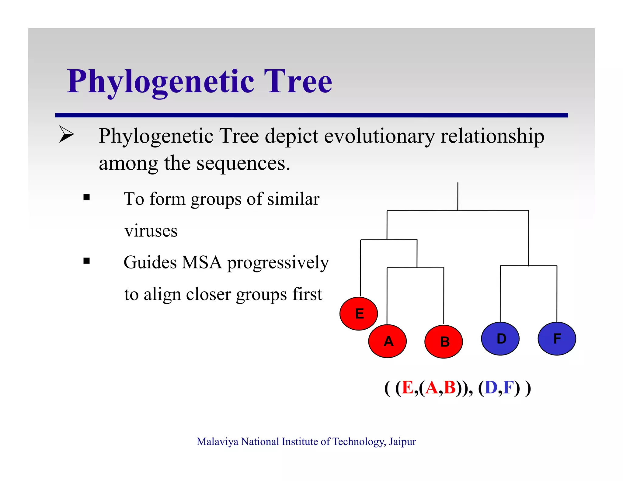 Phylogenetic Tree
Phylogenetic Tree depict evolutionary relationship
among the sequences.
To form groups of similar
viruses
Malaviya National Institute of Technology, Jaipur
viruses
Guides MSA progressively
to align closer groups first
A B D F
E
( (E,(A,B)), (D,F) )
 