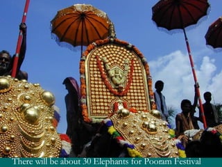There will be about 30 Elephants for Pooram Festival 