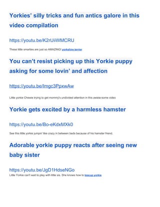 Yorkies’ silly tricks and fun antics galore in this 
video compilation 
https://youtu.be/K2rUiiWMCRU 
 
These little smarties are just so AMAZING! ​yorkshire terrier 
 
You can’t resist picking up this Yorkie puppy 
asking for some lovin’ and affection 
https://youtu.be/Imgc3PpxwAw 
 
Little yorkie Chewie trying to get mommy's undivided attention in this awww­some video 
 
Yorkie gets excited by a harmless hamster 
https://youtu.be/Bo­eKdxMXk0 
 
See this little yorkie jumpin' like crazy in between beds because of his hamster friend. 
 
Adorable yorkie puppy reacts after seeing new 
baby sister 
https://youtu.be/JgD1HdseNGo 
Little Yorkie can't wait to play with little sis. She knows how to ​teacup yorkie 
 
 