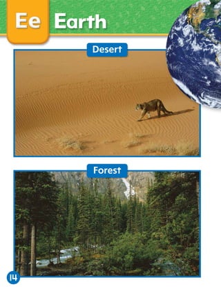 Earth
Desert

Forest

14

 