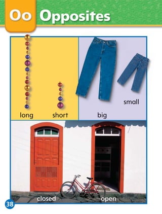 Opposites

small
long

38

short

closed

big

open

 