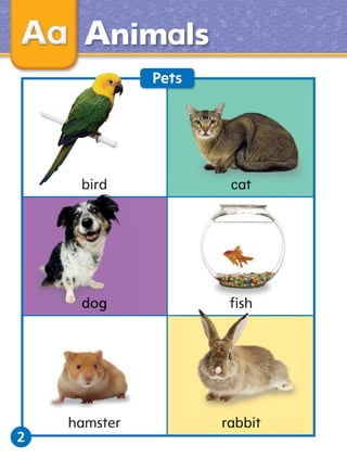 Animals
Pets

bird

2

cat

hamster

rabbit

 