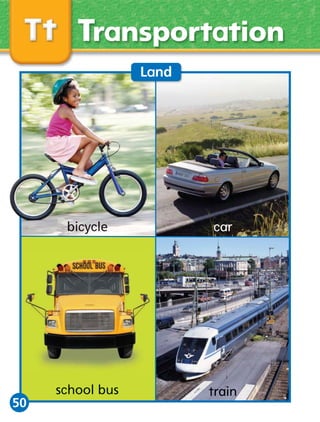 Transportation
Land

car

50

school bus

 