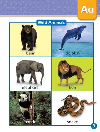 Wild Animals

bear

lion

panda

snake

3

 