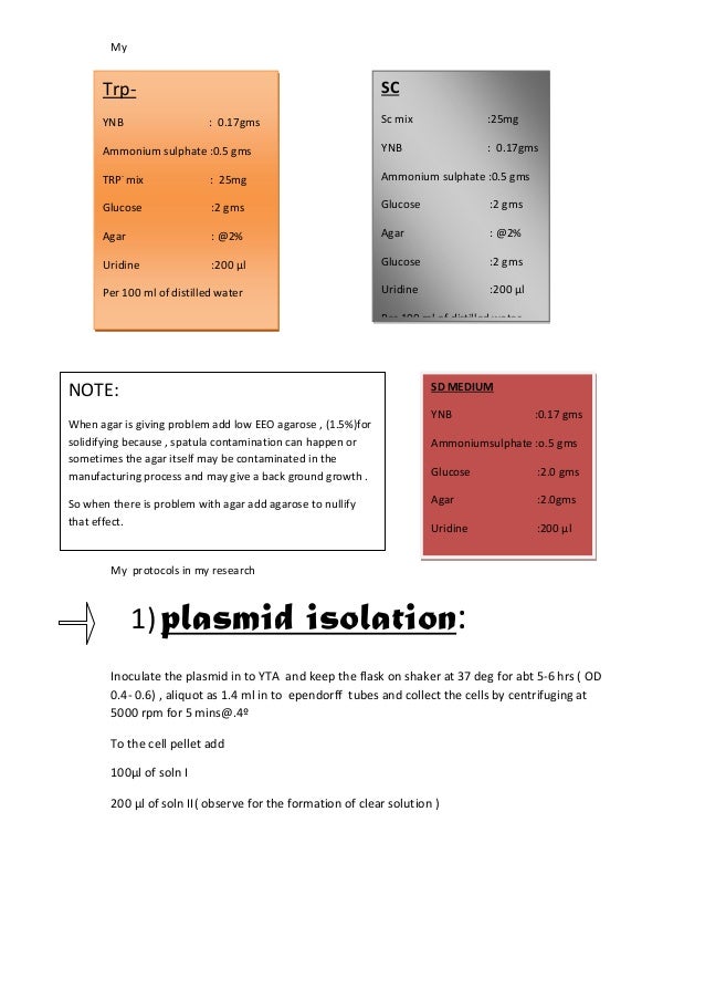 Molecular biology Lab protocol