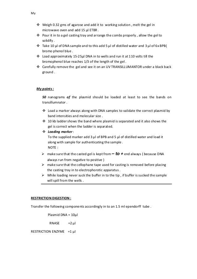 Molecular biology Lab protocol