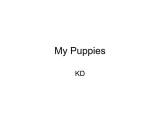 My Puppies KD 