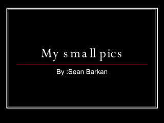 My small pics By :Sean Barkan 