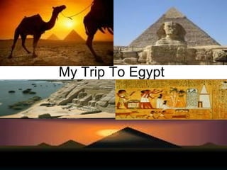 My Trip To Egypt  