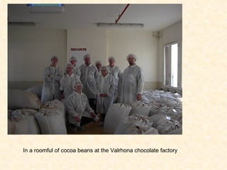 In a roomful of cocoa beans at the Valrhona chocolate factory 