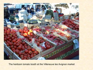 The heirloom tomato booth at the Villeneuve les Avignon market 