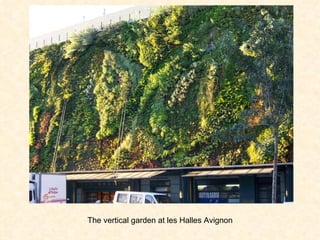 The vertical garden at les Halles Avignon 
