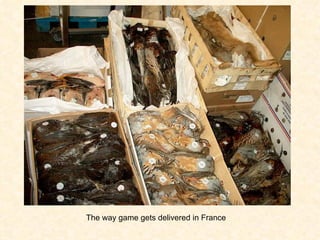 The way game gets delivered in France 