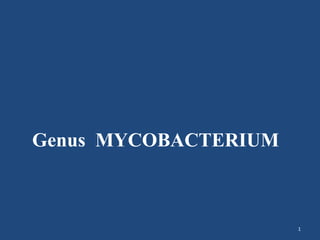 1 Genus  MYCOBACTERIUM 