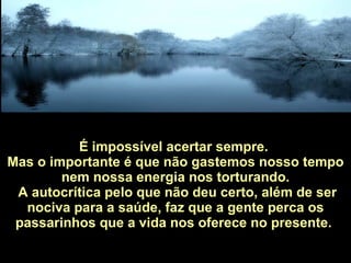 É impossível acertar sempre.  Mas o importante é que não gastemos nosso tempo nem nossa energia nos torturando. A autocrítica pelo que não deu certo, além de ser nociva para a saúde, faz que a gente perca os passarinhos que a vida nos oferece no presente.   